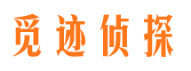 砀山市场调查